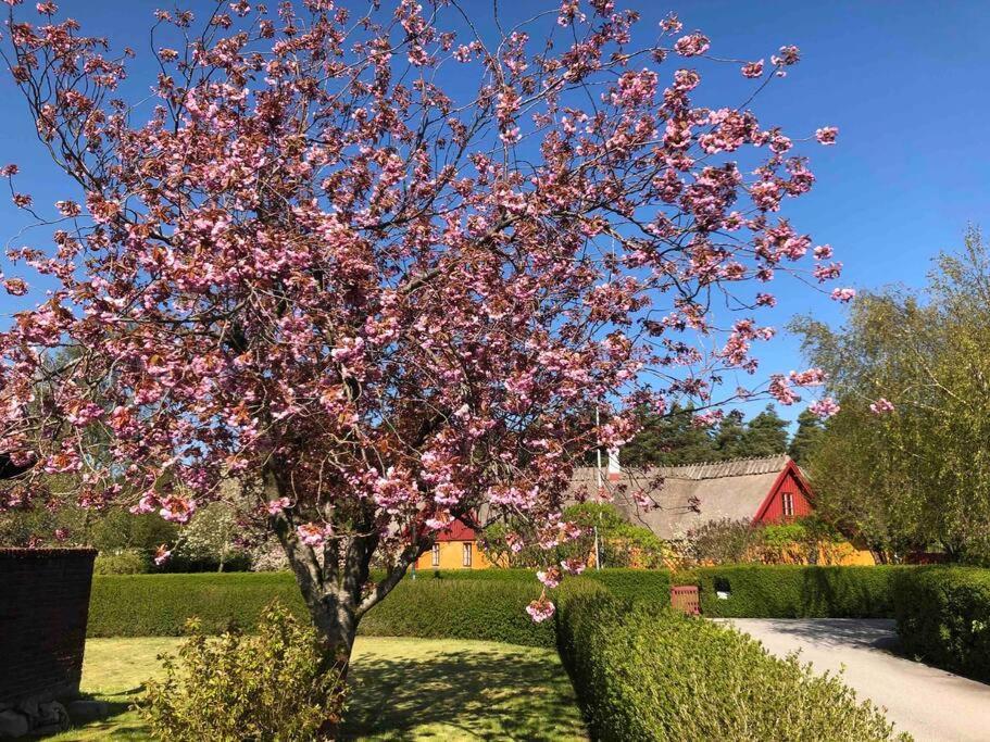 Villa Lyckehusen Löddeköpinge Exteriör bild